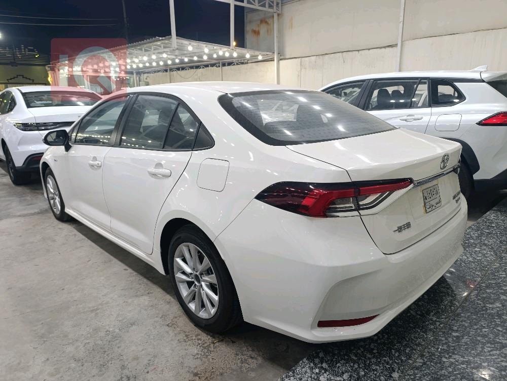 تويوتا كورولا